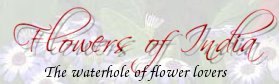 Forum Flowers of India - The waterhole of flower lovers.